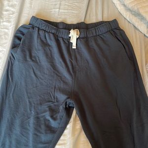 Free Fly joggers